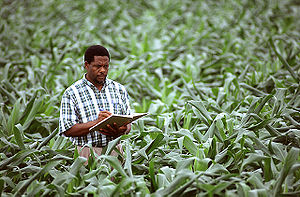 Investment opportunities - agriculture